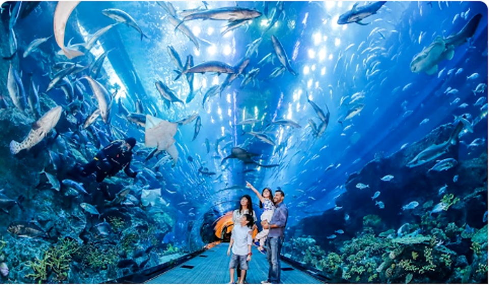 Dubai Aquarium