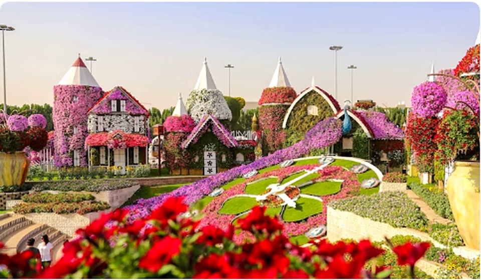 Dubai Miracle Garden